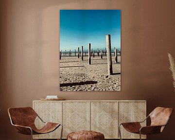 Palendorp of Petten by Klazina Visser