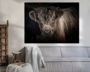Young Highland Cow van Gisela - Art for you