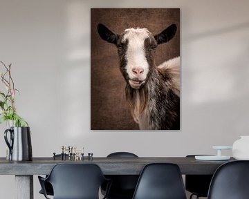 Goat by Marjolein van Middelkoop