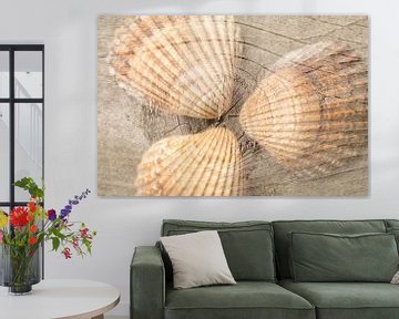 Shells on wood in natural colors by Lisette Rijkers