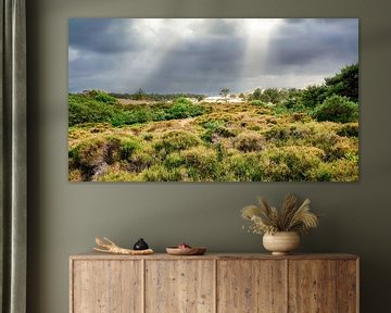 Noord-Hollandse kust met de Schoorlse duinen van eric van der eijk