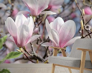 Magnolia by Violetta Honkisz