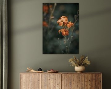 Orange Wildblume von Maaike Zaal