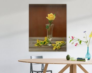 Gele roos van Stefania van Lieshout