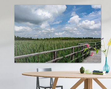 Bad Buchau : Nature reserve by Photoart-Naegele