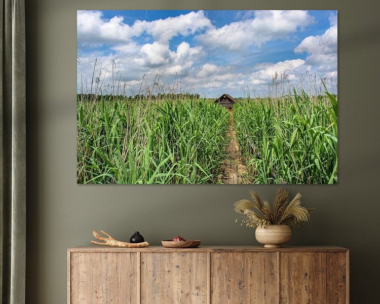 Voorbeeld van het werk in een kamer