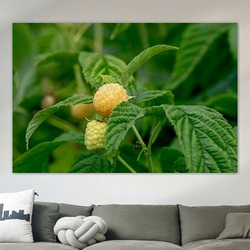 Soft sweet deliciousness