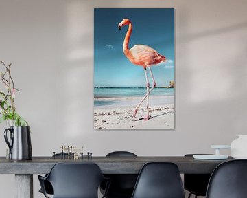 Flamingo op Aruba van Marit Lindberg