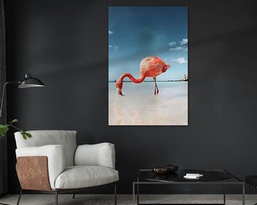 Flamingo op Aruba van Marit Lindberg