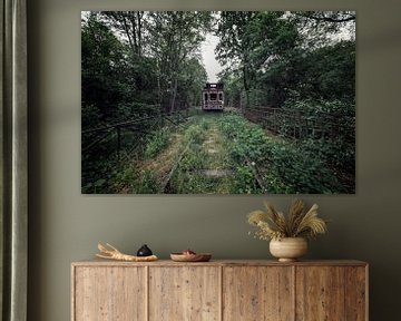 Ein verlassener Zug im Wald bei Belgien von Steven Dijkshoorn