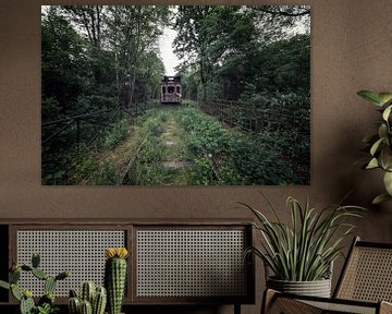 Een verlaten trein in het bos bij België van Steven Dijkshoorn