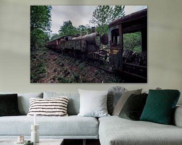 Urbex steam train abandoned in the woods by Steven Dijkshoorn