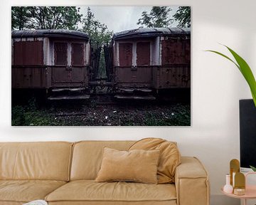 De wagons van een oude verlaten trein van Steven Dijkshoorn