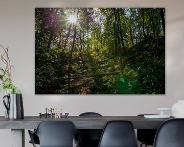 La lumière du soleil traverse la cime des arbres sur Annemarie Goudswaard