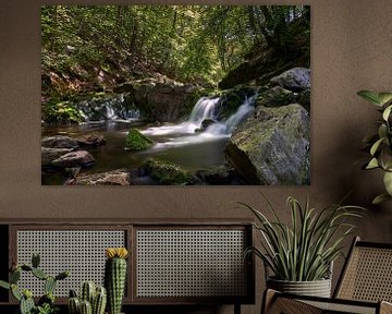 Schöner Wasserfall in den belgischen Ardennen von Bart cocquart