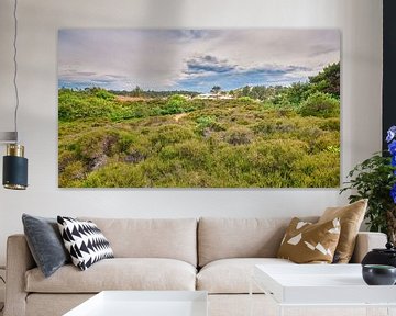 duin natuurgebied omgeving Schoorl van eric van der eijk