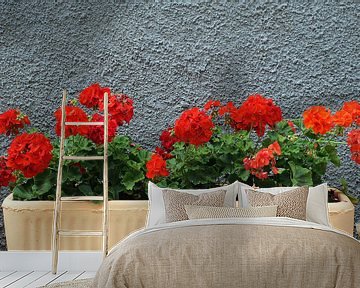 Bak met vuurrode geraniums voor een grijze, grof gestucte muur. van Gert van Santen