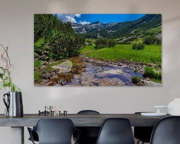 River in the Pirin mountains in Bulgaria by Jessica Lokker