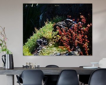 Barrenness equals beauty