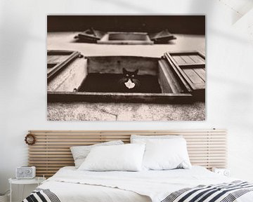 Dali die Katze von Lars van de Goor