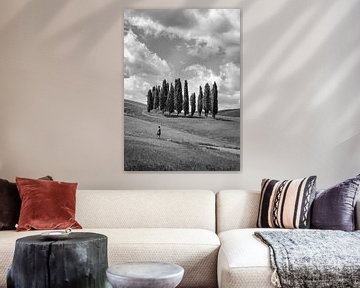 Die Zypressen der Toskana - schwarz und weiß von Teun Ruijters