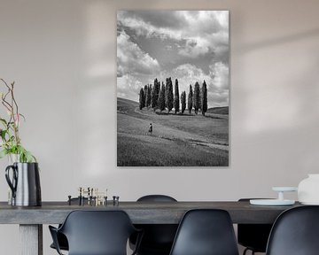 De Cipressen van Toscane - zwart wit van Teun Ruijters