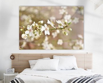 Blossom