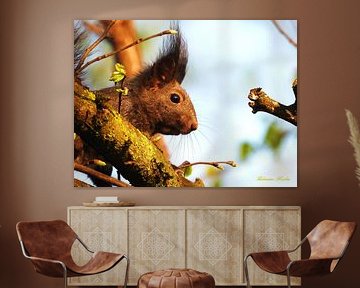 Thoughtful by Markus Hohenauer