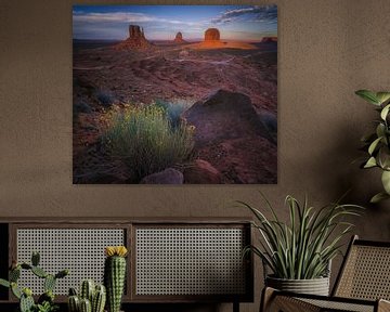 Het hart van Navajo gebied van Joris Pannemans - Loris Photography