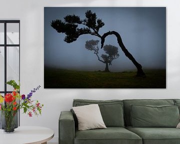 bomen in de mist van Stefan Bauwens Photography