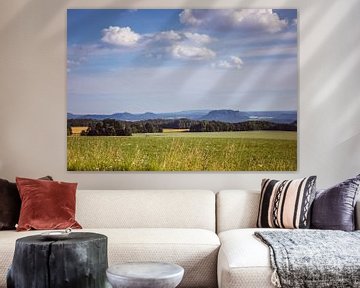 Panoramic view over Saxon Switzerland by Animaflora PicsStock