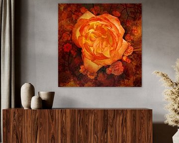 Oranje roos op een florale oranje achtergrond. van Helga Blanke