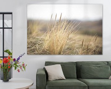 Gros plan sur l'herbe des dunes sur la côte néerlandaise sur Marjolijn Barten