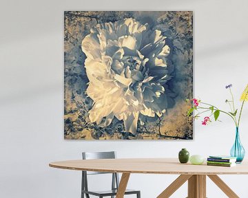 Peony tulip in a light blue retro environment by Helga Blanke