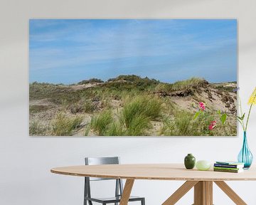 Duinen, Wassenaarseslag, Wassenaar, Nederland van themovingcloudsphotography