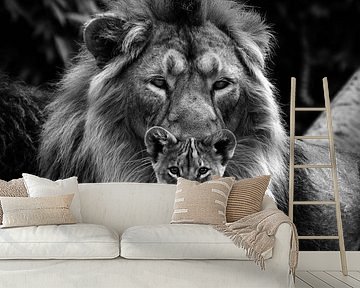 Father and son by Bert Hooijer