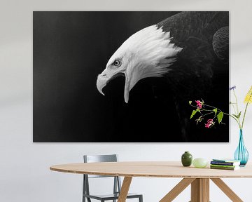 Portret van een boze schreeuwende zee arend of adelaar tegen een zwarte achtergrond van Elles Rijsdijk