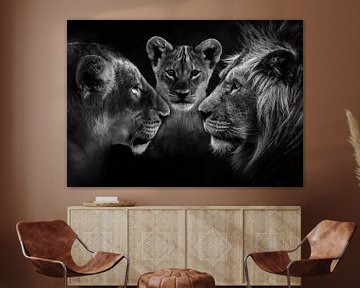 A lion family van Bert Hooijer