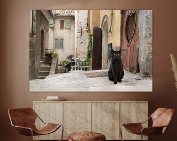 Chat noir dans les rues d'un beau vieux village de provence sur Elles Rijsdijk