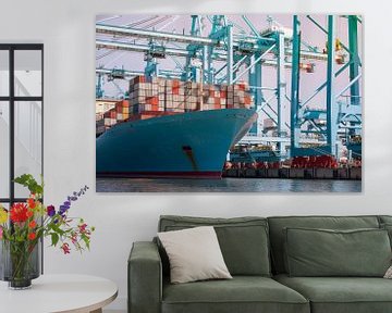 Het lossen van een containership in de haven van Rotterdam van Elles Rijsdijk