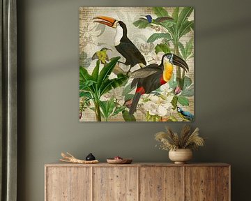 In the realm of toucan and hummingbird by christine b-b müller