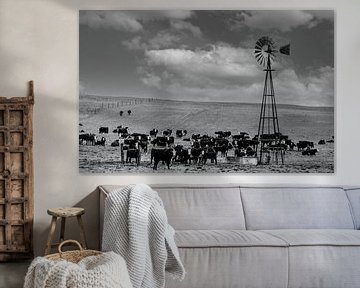 Kudde runderen met een windturbinepomp in een weiland in Wyoming/USA. van Gerwin Schadl