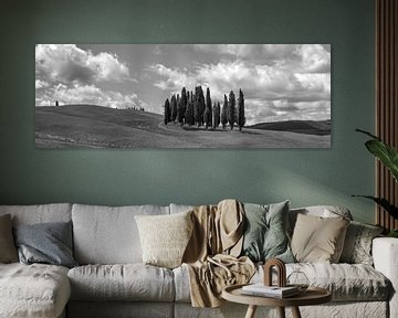 Monochrome Tuscany in 6x17 format, Cipressi di San Quirico d'Orcia II