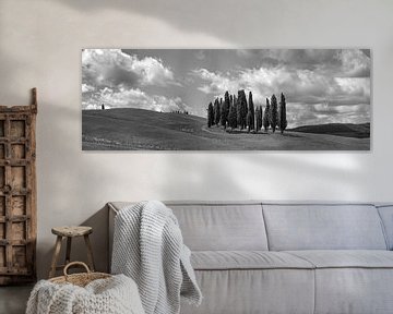 Monochrome Toscane en format 6x17, Cipressi di San Quirico d'Orcia II sur Teun Ruijters