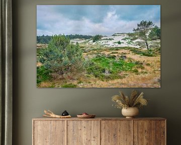 Naturschutzgebiet Schoorl Dünen in Nordholland von eric van der eijk