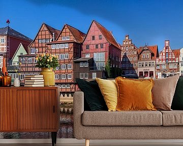 Historische huisgevels Am Stintmarkt, rivier Ilmenau, oude binnenstad, Lüneburg, Nedersaksen, Duitsl