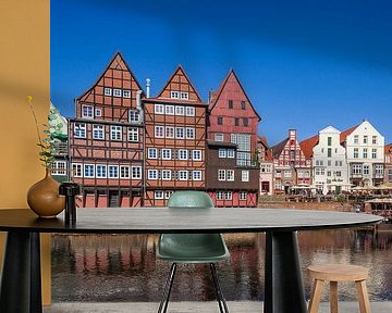 Historische huisgevels Am Stintmarkt, rivier Ilmenau, oude binnenstad, Lüneburg, Nedersaksen, Duitsl