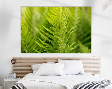 Bohemian style, groene varens , fine art foto met botanische kunst