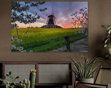 Mühle bei Sonnenuntergang