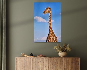 De giraffe, Namibië wilde dieren van W. Woyke